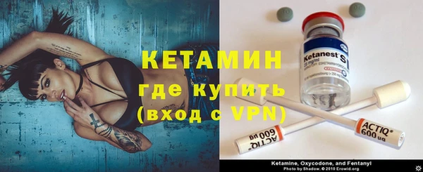 индика Ельня
