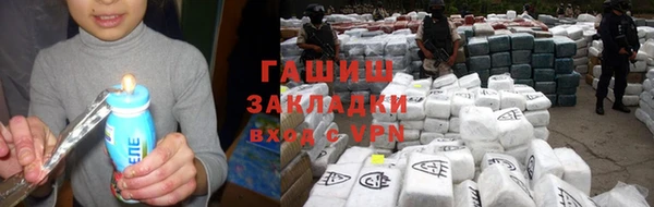 индика Ельня