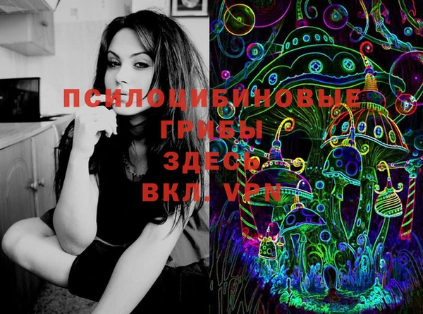 бошки Елизово