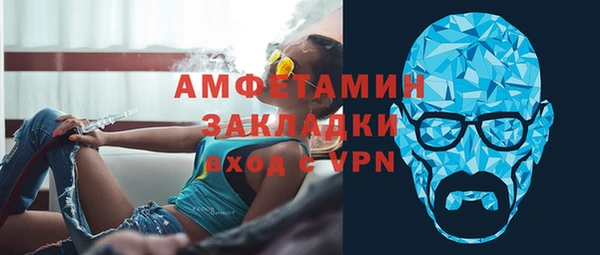 индика Ельня