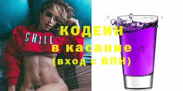 индика Ельня