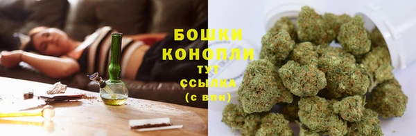 бошки Елизово