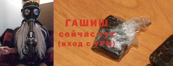 индика Ельня