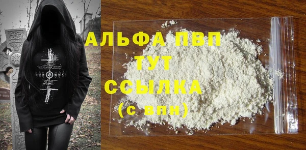 индика Ельня