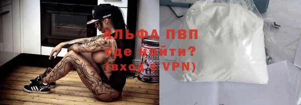 индика Ельня
