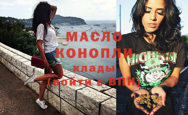 индика Ельня