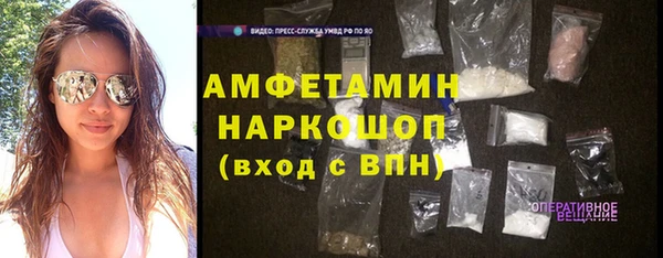 индика Ельня