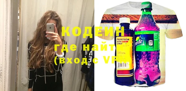 индика Ельня