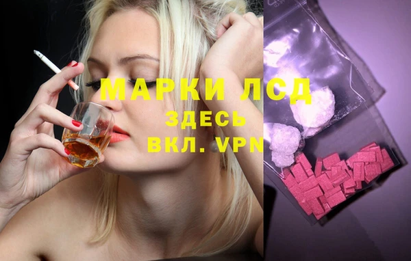 бошки Елизово