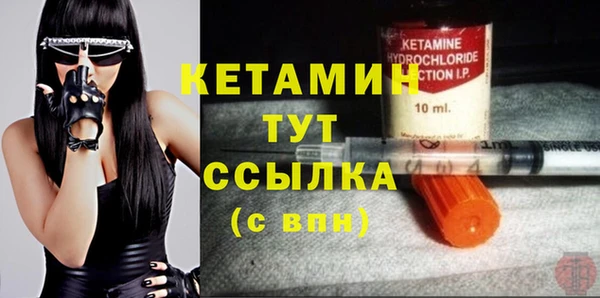 индика Ельня