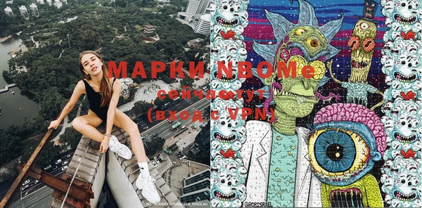 индика Ельня